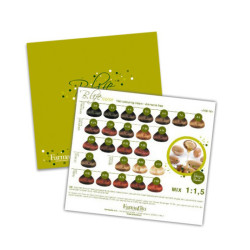 Farmavita Color Chart Ammonia-Free Hair Dye